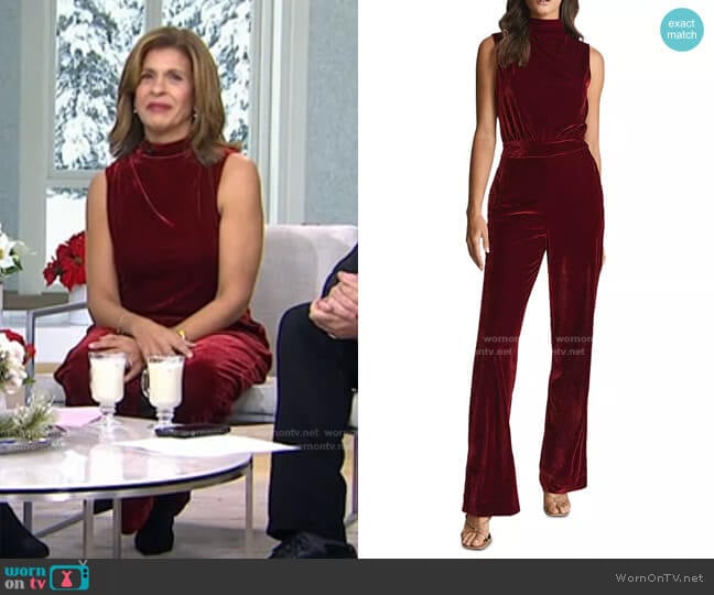 Reiss Diane Velvet Open Back Jumpsuit worn by Hoda Kotb on Today