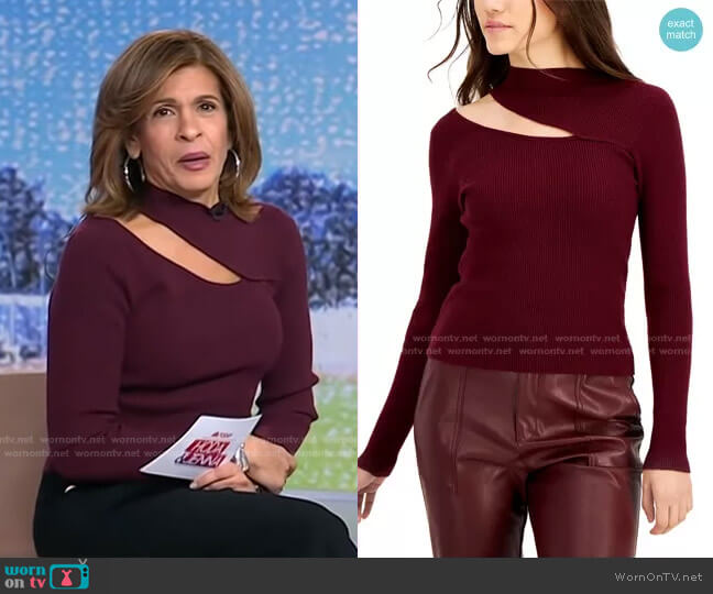 Lucy Paris Charlie Cut-Out Sweater worn by Hoda Kotb on Today