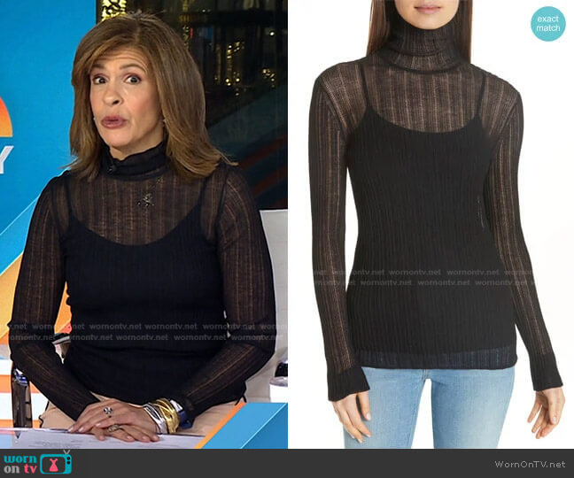 Theory Lory Sheer Turtleneck worn by Hoda Kotb on Today