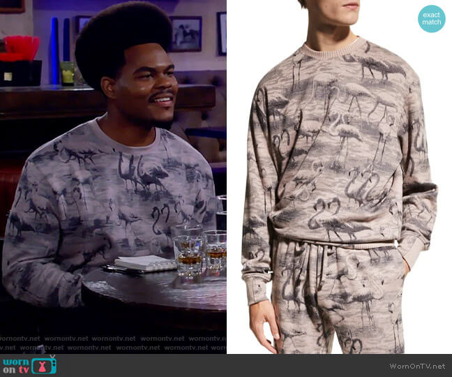 Twenty Montreal Hyper Reality Flamingo-Print Knit Sweater worn by Carter (Julian Gant) on Call Me Kat