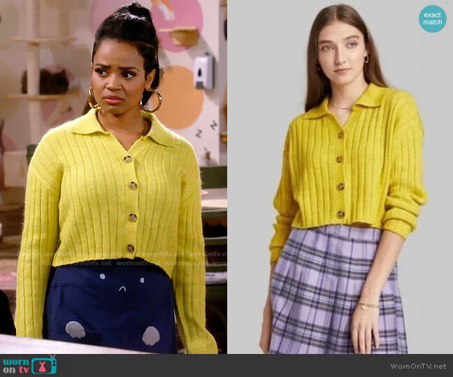 Wild Fable Cropped Cardigan worn by Randi (Kyla Pratt) on Call Me Kat