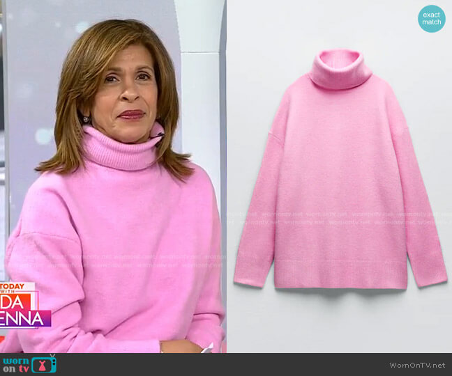 Zara Oversized Knit Turtleneck Sweater worn by Hoda Kotb on Today