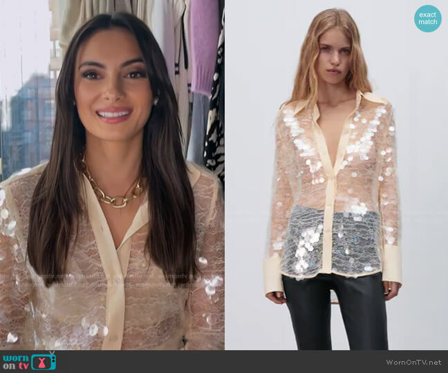 Zara Semi-Sheer Sequin Top