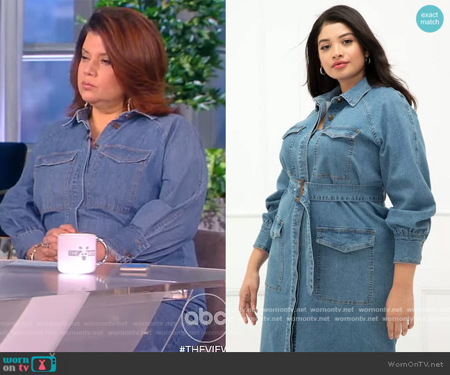 Eloquii Denim Utility Dress worn by Ana Navarro on The View