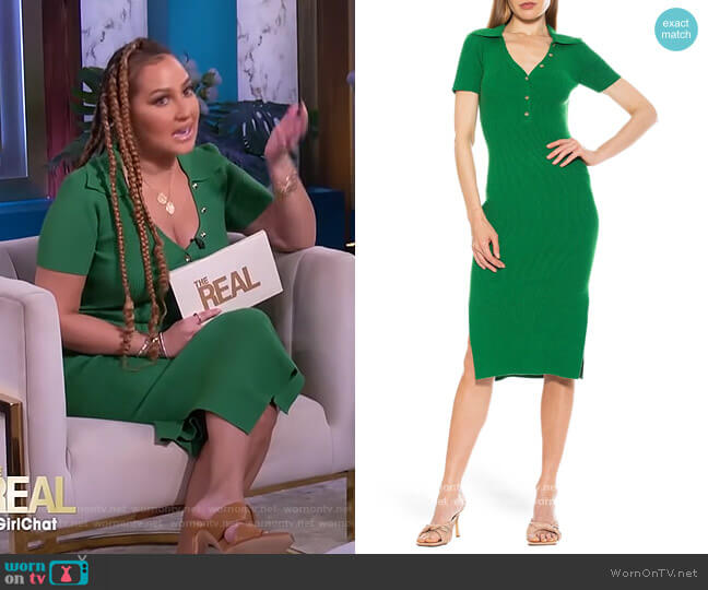 Alexia Admor Eliana Short Sleeve Ribbed Henley Midi Dress worn by Adrienne Houghton on The Real