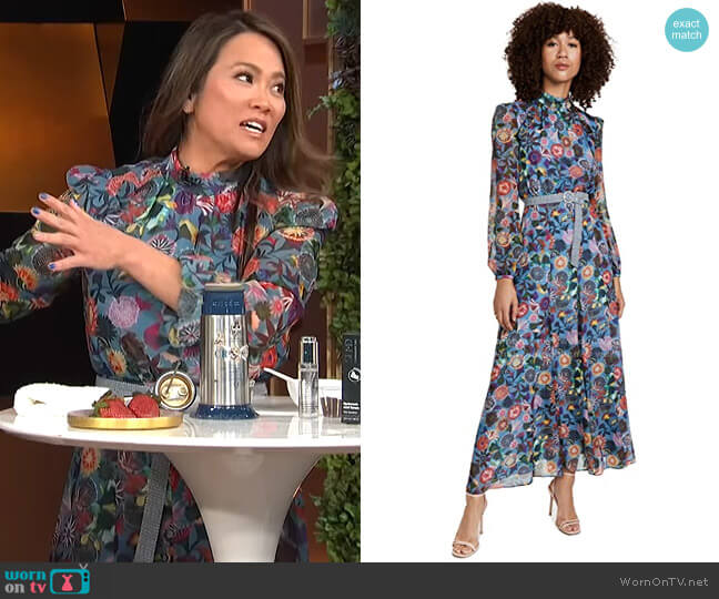 Saloni Jacqui B Dress
