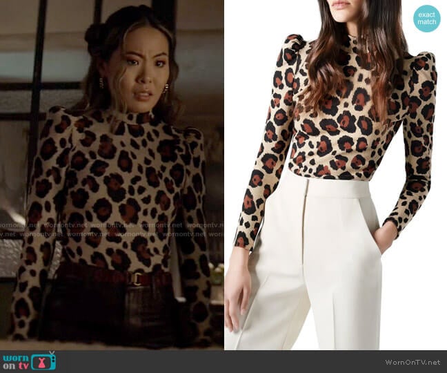 Smythe Pouf Sleeve Knit Top worn by Mary Hamilton (Nicole Kang) on Batwoman
