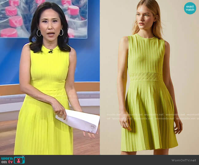 Ted Baker Balieey Pleated Mini Dress worn by Vicky Nguyen on Today