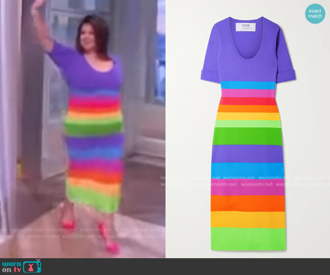 Christopher John Rogers Striped jersey maxi dress worn by Ana Navarro on The View