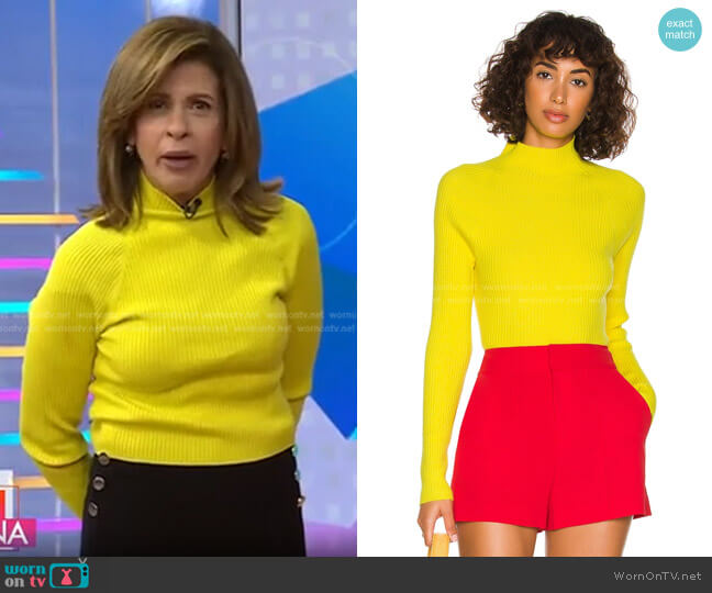 Alice + Olivia Irena Mock Neck Cropped Sweater worn by Hoda Kotb on Today