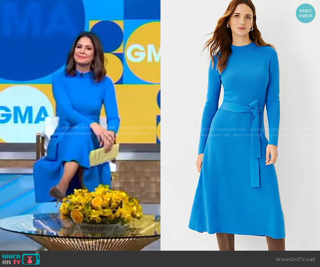 Ann Taylor Belted Flare Sweater Dress worn by Cecilia Vega on Good Morning America