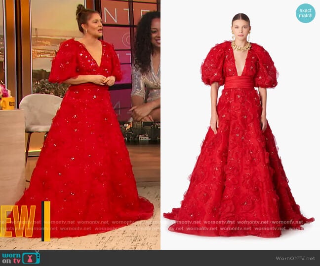 Carolina Herrera Embroidered Silk Organza Puff Sleeve Gown worn by Drew Barrymore on The Drew Barrymore Show