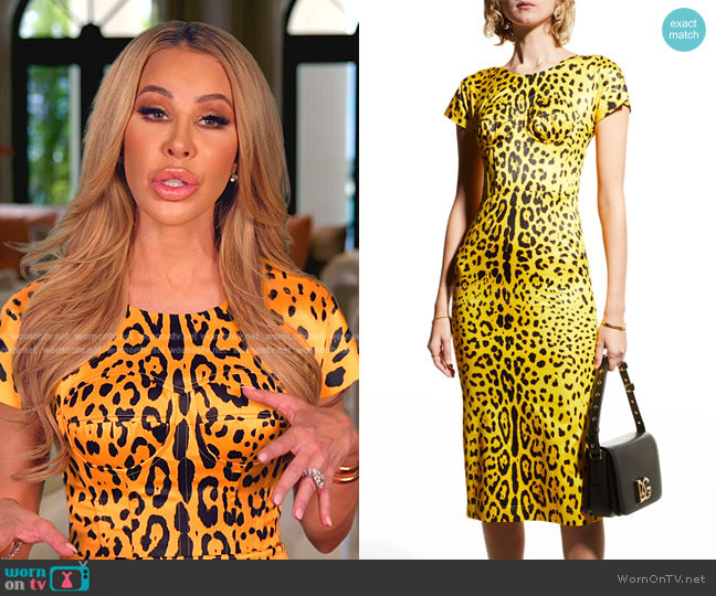Dolce & Gabbana Leopard-Print Bustier Dress worn by Lisa Hochstein (Lisa Hochstein) on The Real Housewives of Miami