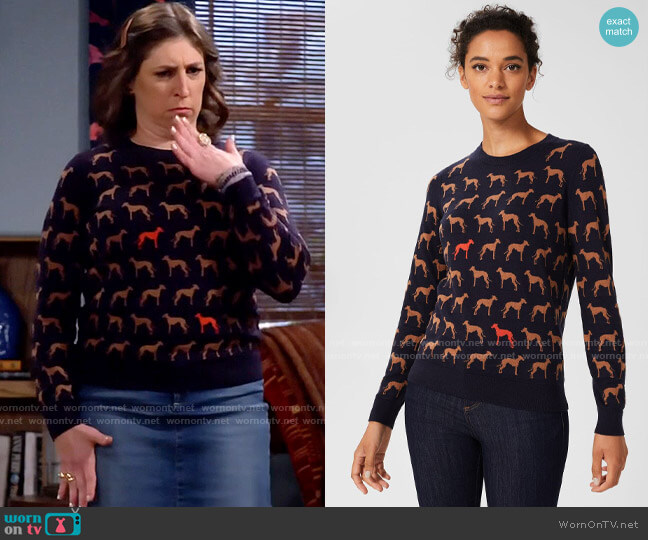 Hobbs Larissa Whippet Sweater worn by Kat Silver (Mayim Bialik) on Call Me Kat