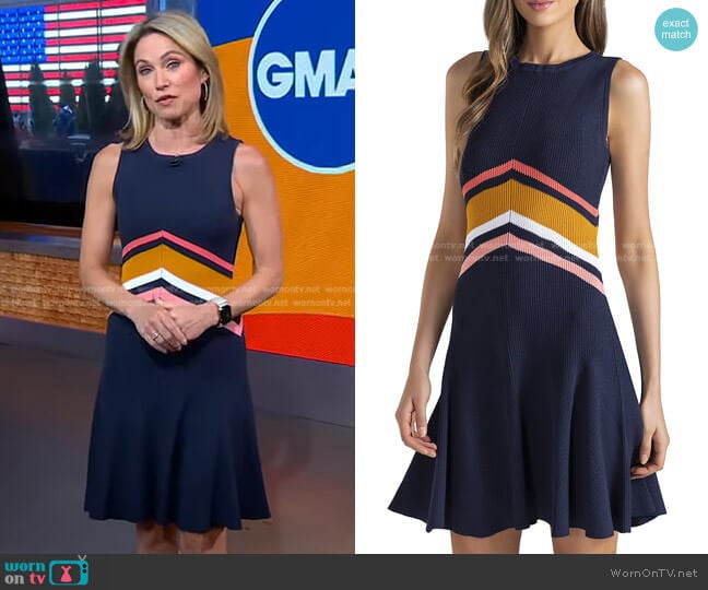 Shoshanna Lyla Ribbed Fit-&-Flare Dress worn by Amy Robach on Good Morning America
