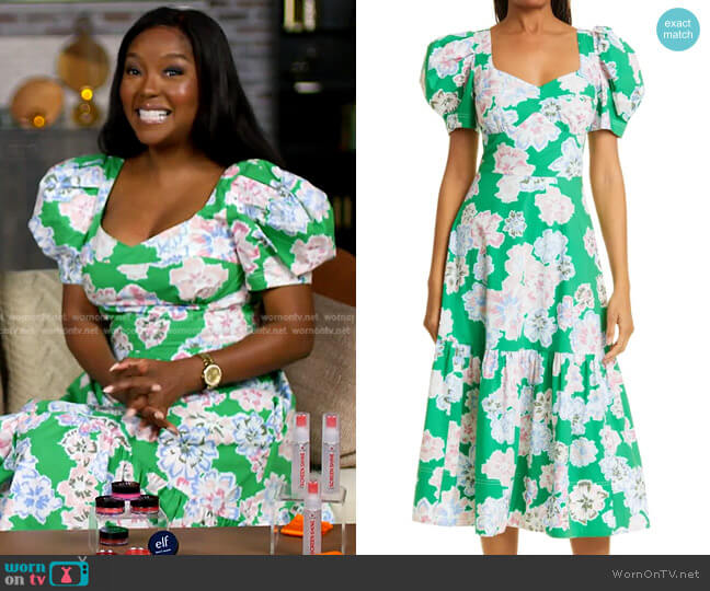 Tanya Taylor Danielle Floral Print Puff Sleeve Dress worn by Makho Ndlovu on Today