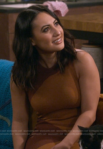 Valentina’s brown colorblock dress on How I Met Your Father