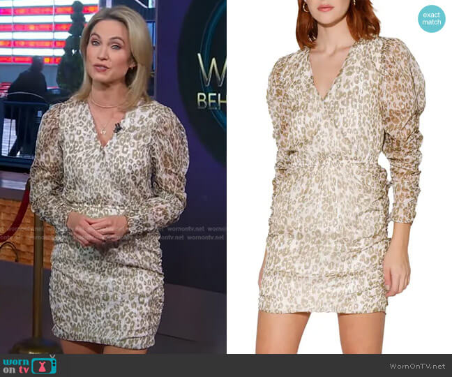Walter Baker Deena Print Dress worn by Amy Robach on Good Morning America
