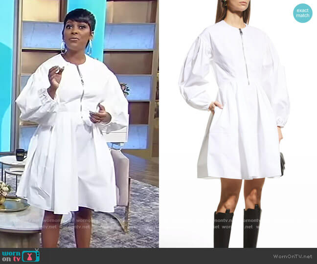 Alexander McQueen Puff-Sleeve Poplin Fit-&-Flare Dress worn by Tamron Hall on Tamron Hall Show
