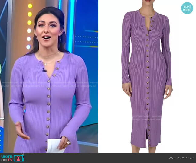 Derek Lam 10 Crosby Avianna Sweater Dress worn by Erielle Reshef on Good Morning America