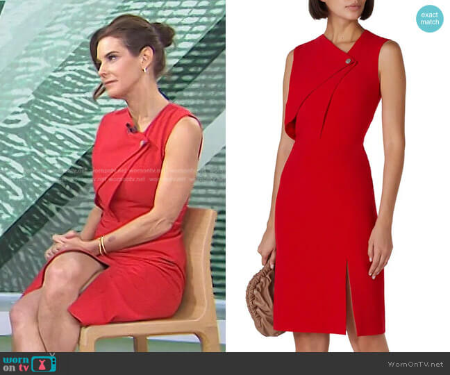 Jason Wu Collective Front Snap Sheath