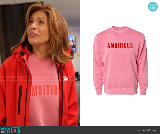 Phenomenal Ambitious Soft Garment Dye Crewneck Sweatshirt worn by Hoda Kotb on Today