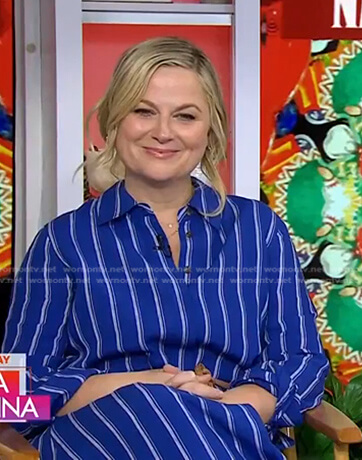 Amy Poehler’s blue striped shirtdress on Today