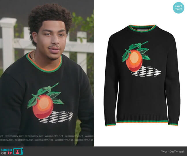 Casablanca Fruit Intarsia Trimmed Cotton Sweater worn by Andre Johnson Jr (Marcus Scribner) on Black-ish