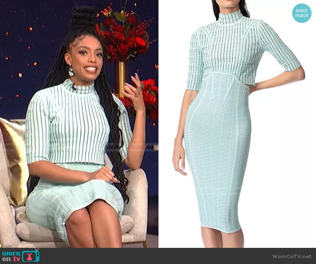 Herve Leger Shadow Stripe Mock Neck Crop Top worn by Francesca Amiker on E! News