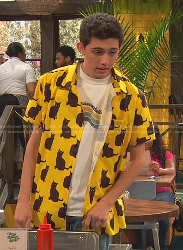 Neil’s yellow cat print shirt on Ravens Home