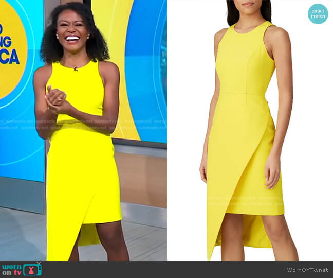 Toccin Asymmetric Sheath Dress worn by Janai Norman on Good Morning America