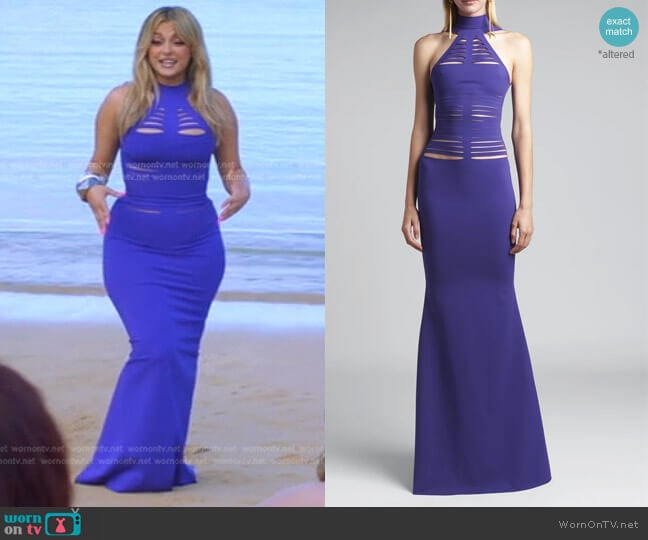 Tom Ford Slash Cutout High-Neck Gown