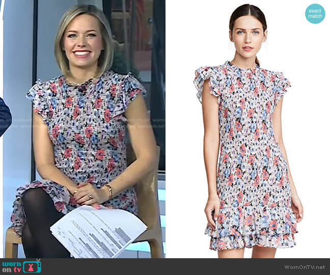 Veronica Beard Cici Dress worn by Dylan Dreyer on Today