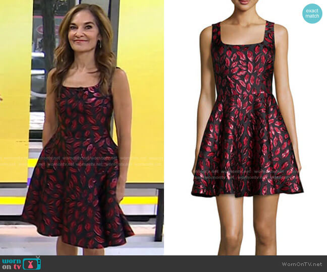 Diane von Furstenberg Sleeveless Minnie Midnight Kiss A-Line Dress worn by Joy Bauer on Today
