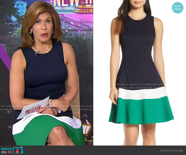 Eliza J Fit & Flare Jacquard Dress worn by Hoda Kotb on Today