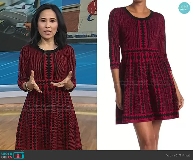 Nina Leonard Geometric Print Sweater Dress worn by Vicky Nguyen on Today