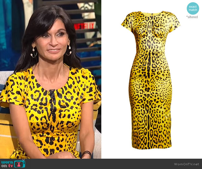 Dolce & Gabbana Leopard-Print Bustier Dress