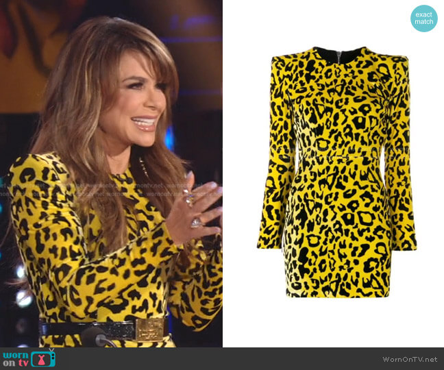 Alex Perry Jax-long Sleeve Velvet Leopard Mini Dress