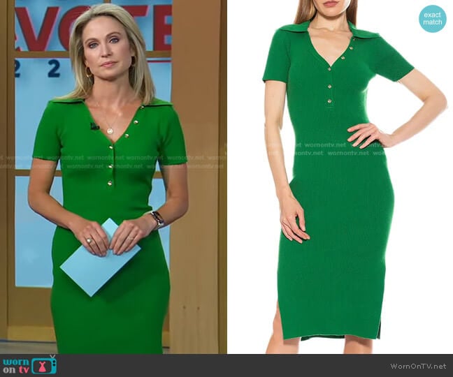 Alexia Admor Eliana Short Sleeve Ribbed Henley Midi Dress worn by Amy Robach on Good Morning America