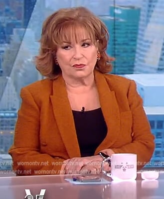Joy’s brown tweed double breasted blazer on The View