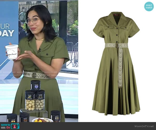 Max Mara Fred Cotton Shirtdress