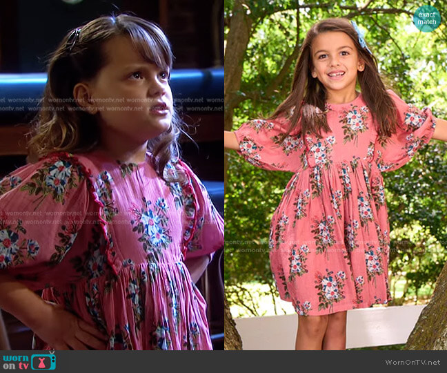 Pink Chicken Juliet Dress