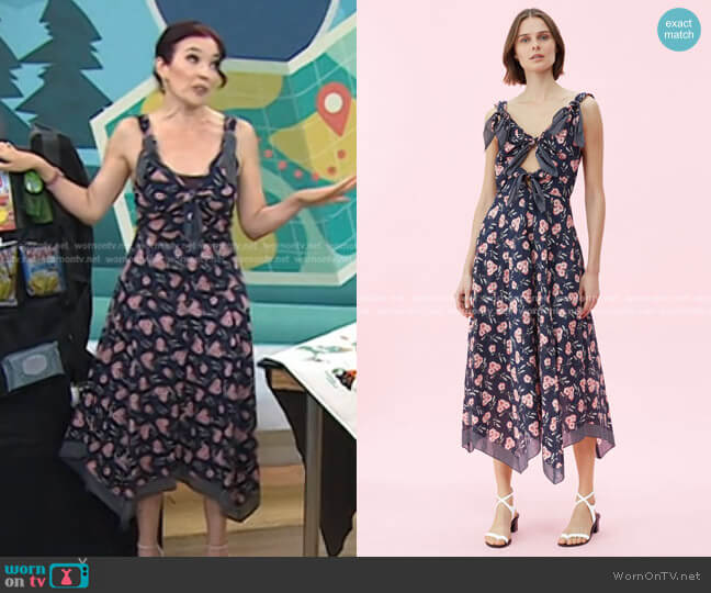 Rebecca Taylor La Vie Adelle Scarf Print Dress