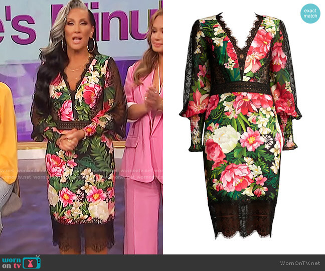 Tadashi Shoji V-Neck Floral Dress