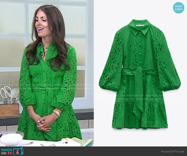 Zara Openwork Embroidered Dress