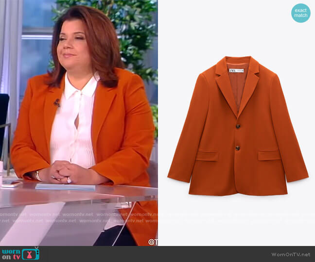 Zara Straight Buttoned Blazer worn by Ana Navarro on The View
