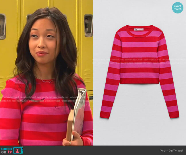 Zara Basic Rib Knit Sweater worn by Ivy (Emmy Liu-Wang) on Ravens Home