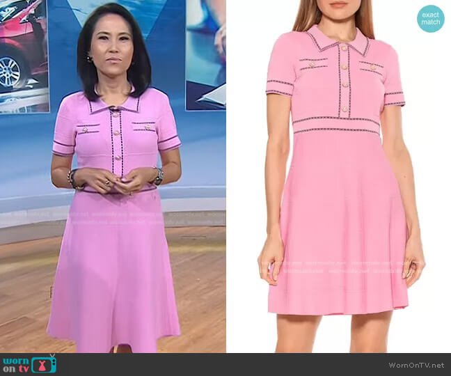 Alexia Admor Jenna Knitted Short Sleeve Dress worn by Vicky Nguyen on Today