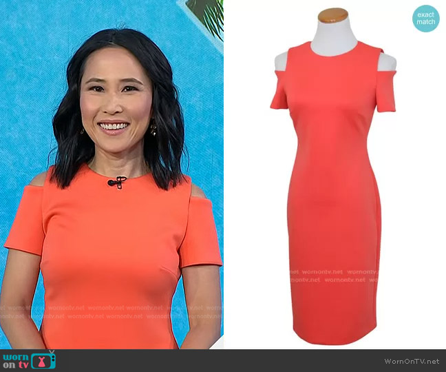 Calvin Klein Scuba Cold Shoulder Sheath Dress worn by Vicky Nguyen on Today