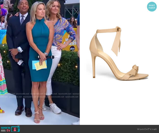 Alexandre Birman Clarita Ankle Tie Sandal worn by Amy Robach on Good Morning America